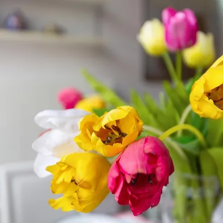 Διαμέρισμα Duplex In Centro Con Posto Auto Privato *