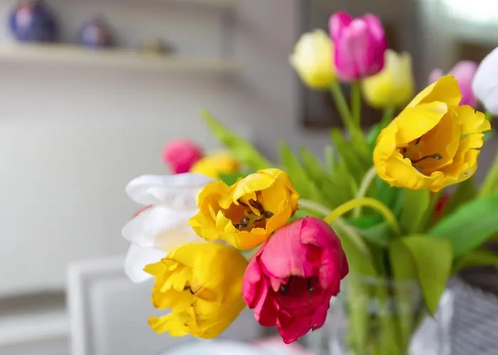 アパート Duplex In Centro Con Posto Auto Privato *